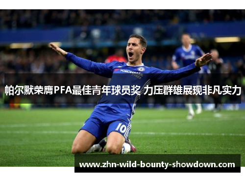 帕尔默荣膺PFA最佳青年球员奖 力压群雄展现非凡实力 帕尔默荣膺PFA最佳青年球员奖 力压群雄展现非凡实力