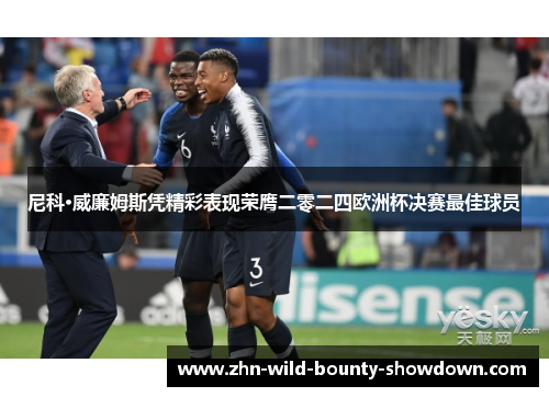 尼科·威廉姆斯凭精彩表现荣膺二零二四欧洲杯决赛最佳球员