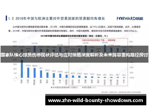 国家队核心球员伤停现状评估与应对策略深度解析及未来阵容重构路径探讨